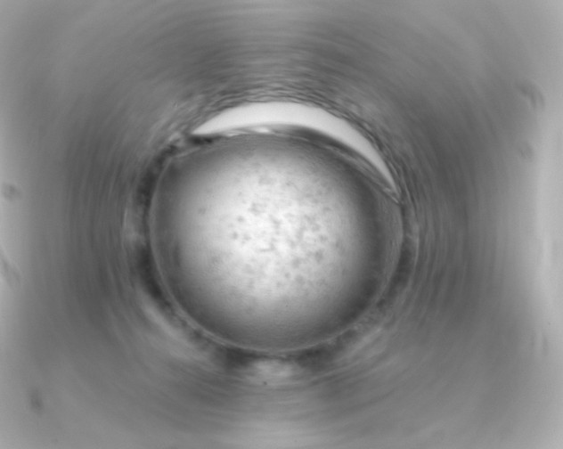 X0000090890272200708101407