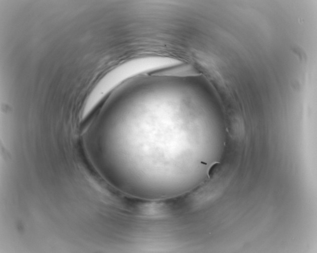 X0000090890273200708101408