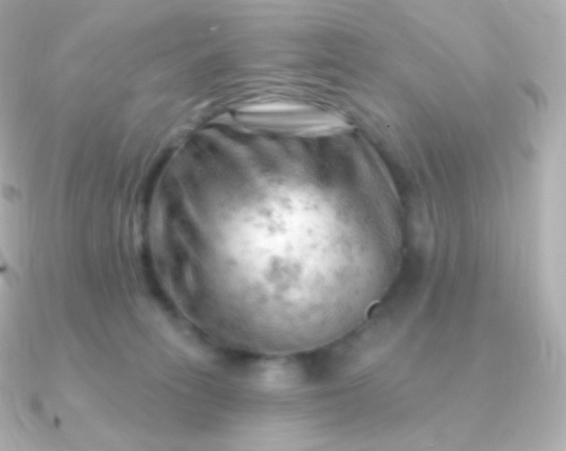 X0000090890275200708101408