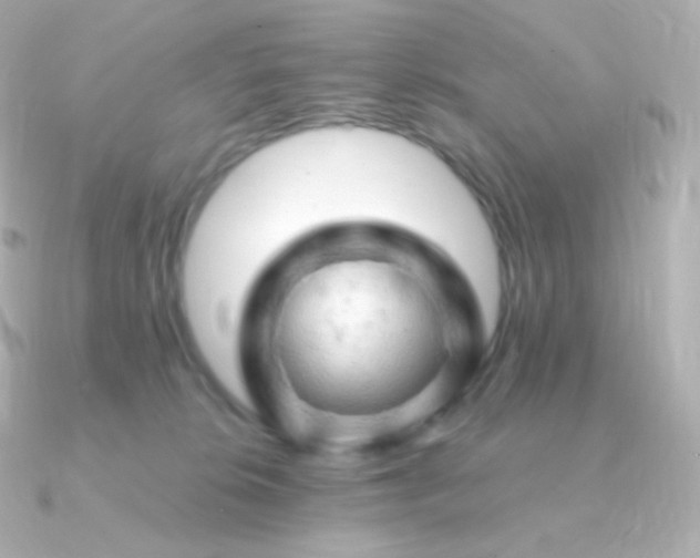 X0000090890276200708101408