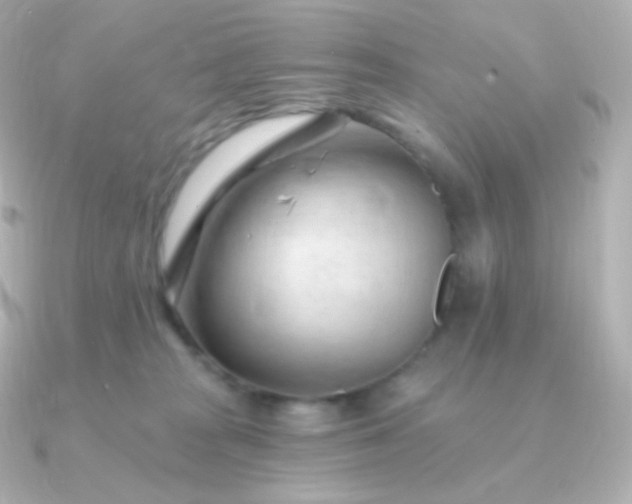 X0000090890277200708101408