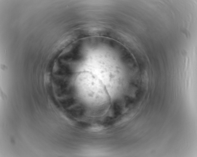 X0000090890278200708101408