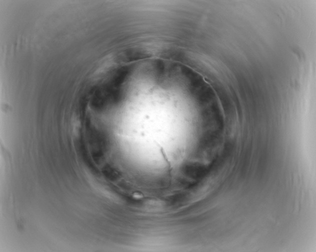 X0000090890279200708101408