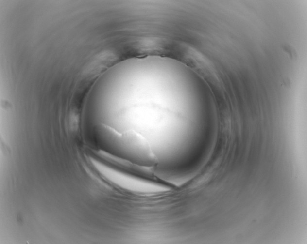 X0000090890281200708101408