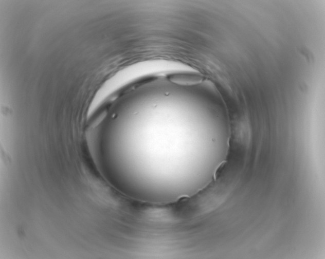 X0000090890283200708101408