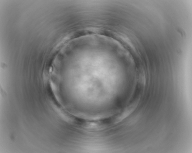 X0000090890285200708101408