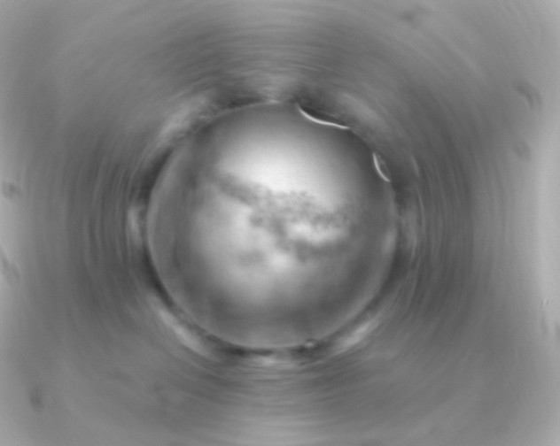 X0000090890286200708101408