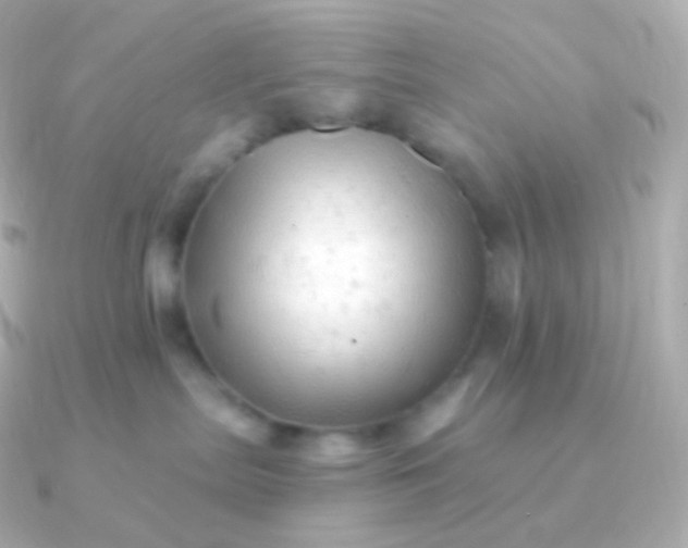 X0000090890287200708101408