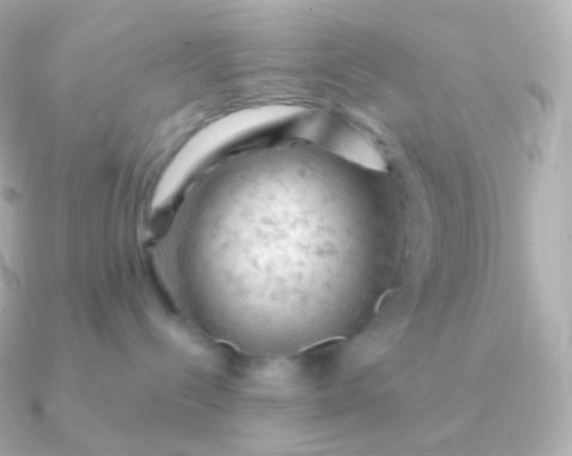 X0000090890288200708101408