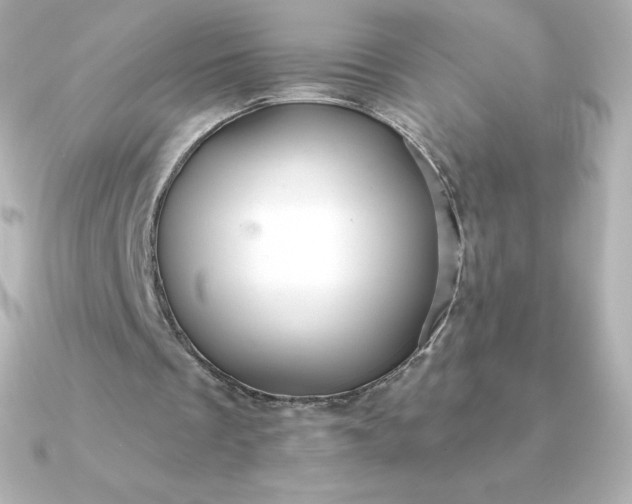 X0000090890289200708101407