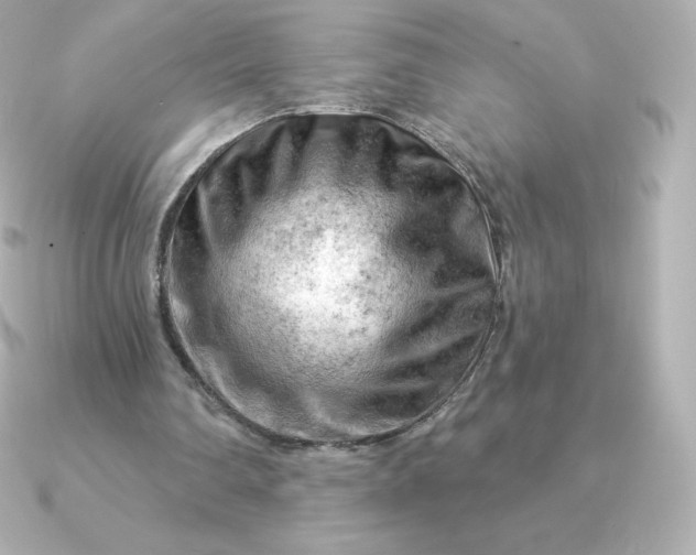 X0000090890290200708101407