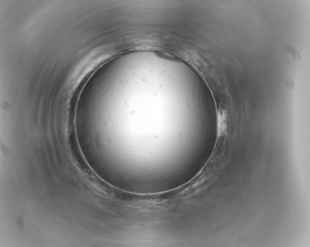 X0000090890291200708101407