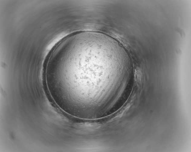 X0000090890292200708101407