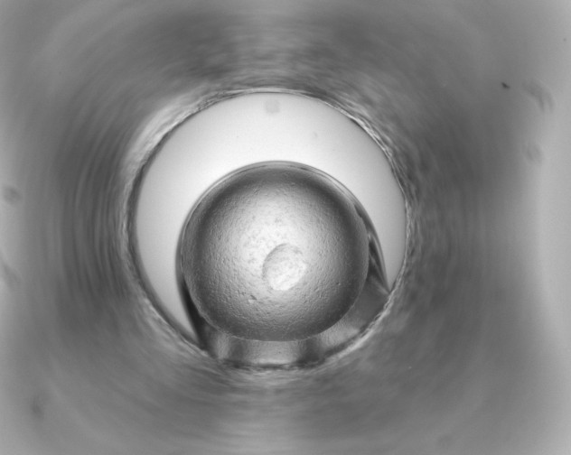 X0000090890293200708101407