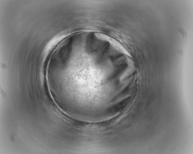 X0000090890294200708101407