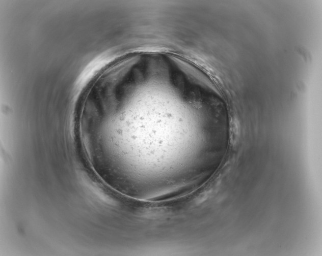 X0000090890296200708101407