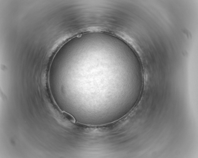 X0000090890297200708101407