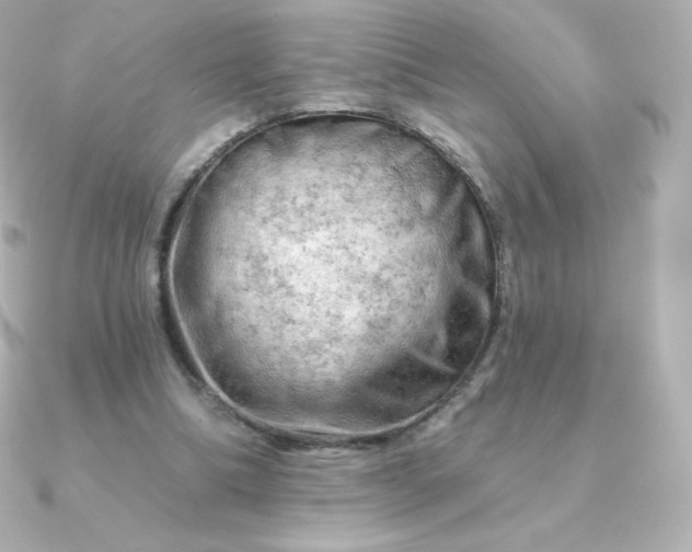 X0000090890298200708101407