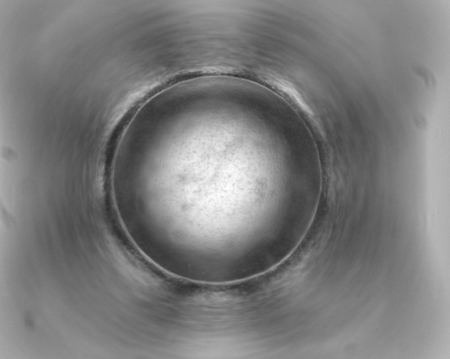 X0000090890299200708101407