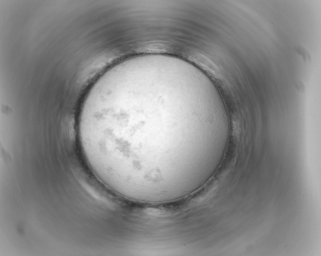 X0000090890302200708101407