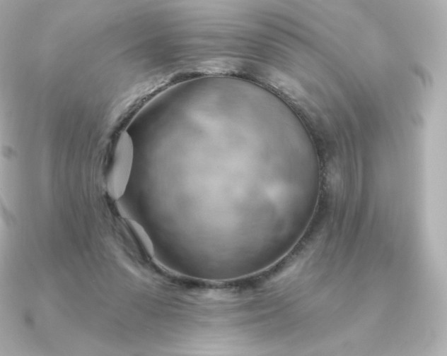 X0000090890303200708101407