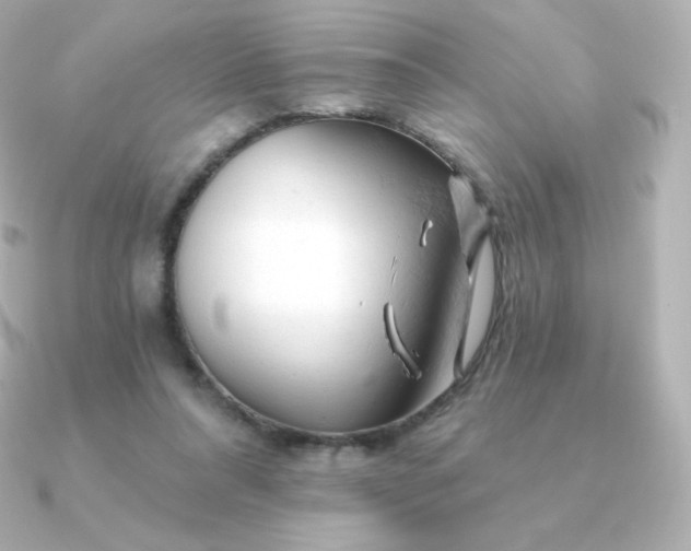 X0000090890304200708101407