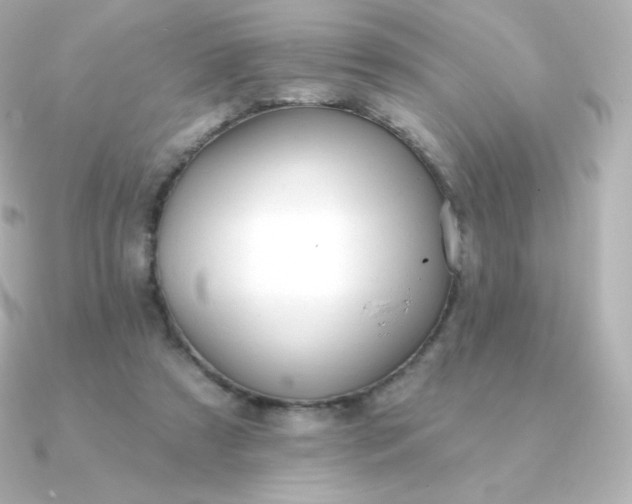 X0000090890305200708101407