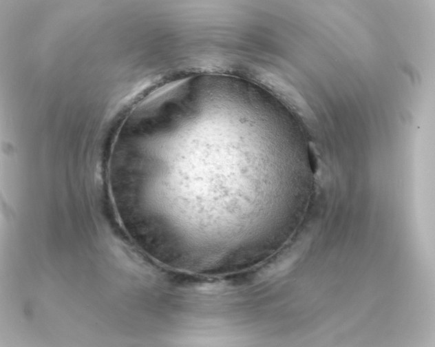 X0000090890306200708101407