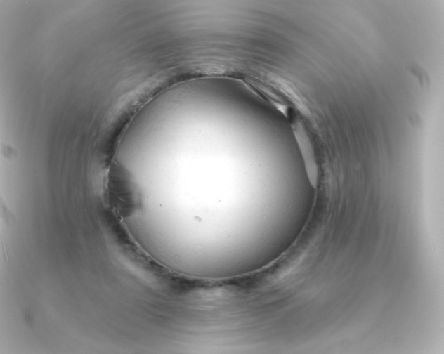 X0000090890307200708101407