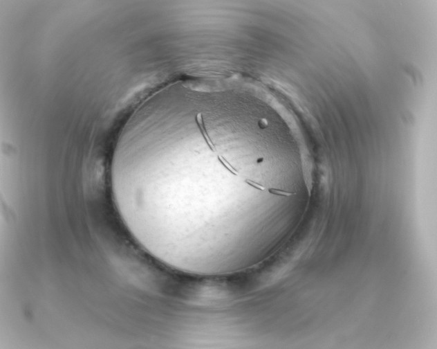 X0000090890308200708101407