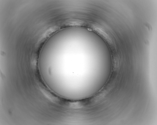 X0000090890309200708101407