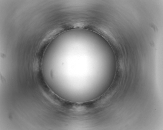 X0000090890311200708101407