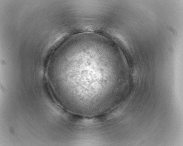 X0000090890314200708101407