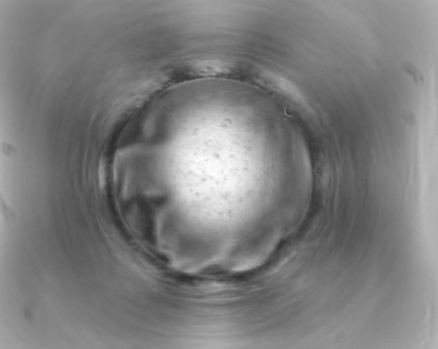 X0000090890315200708101407