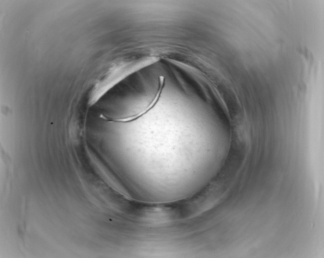 X0000090890316200708101407