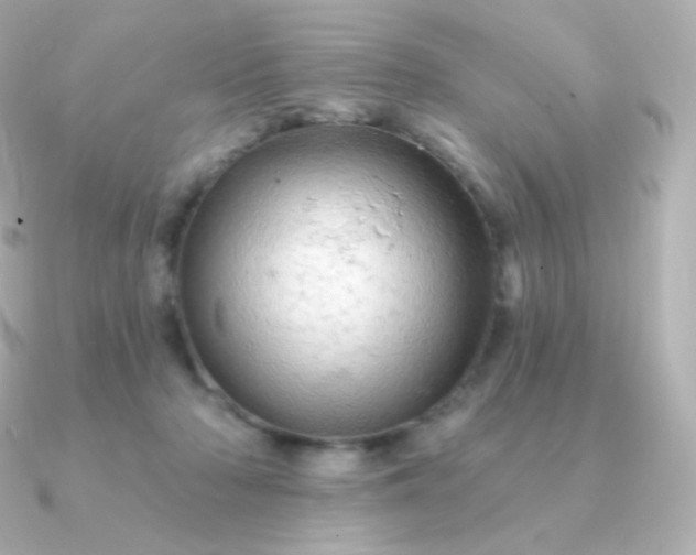 X0000090890318200708101407