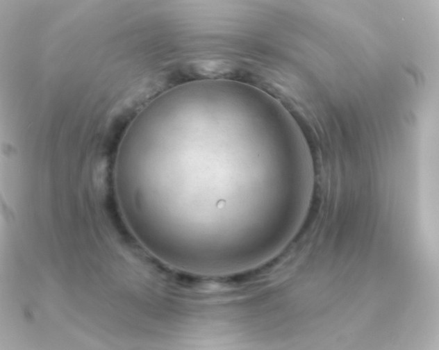 X0000090890319200708101407