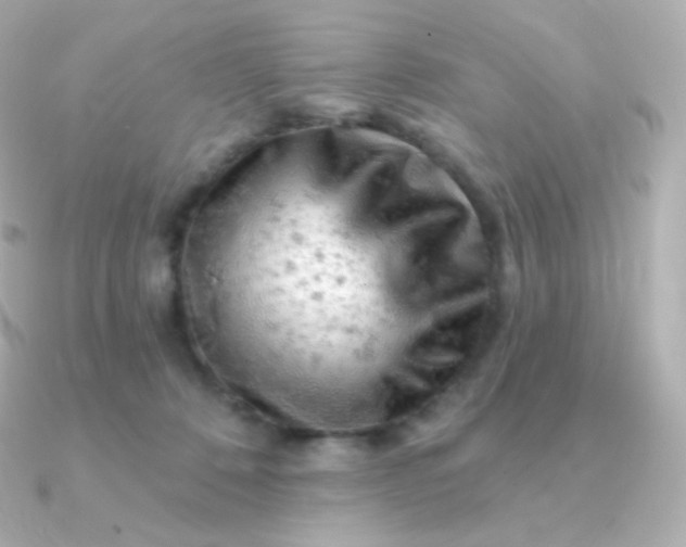 X0000090890320200708101407