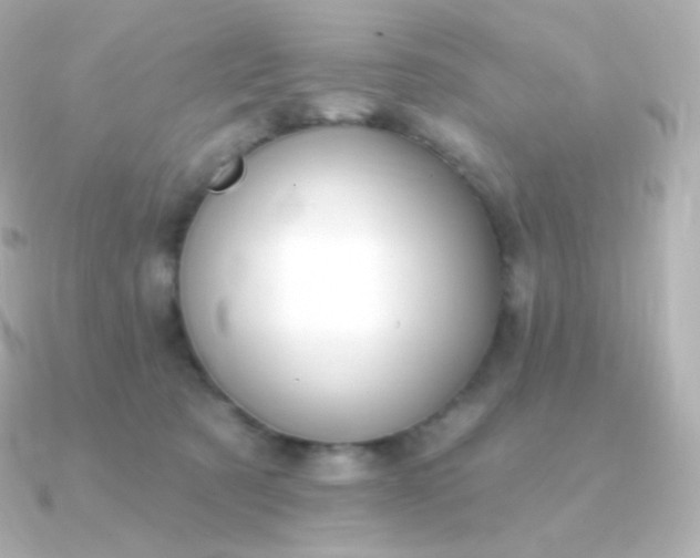 X0000090890321200708101407