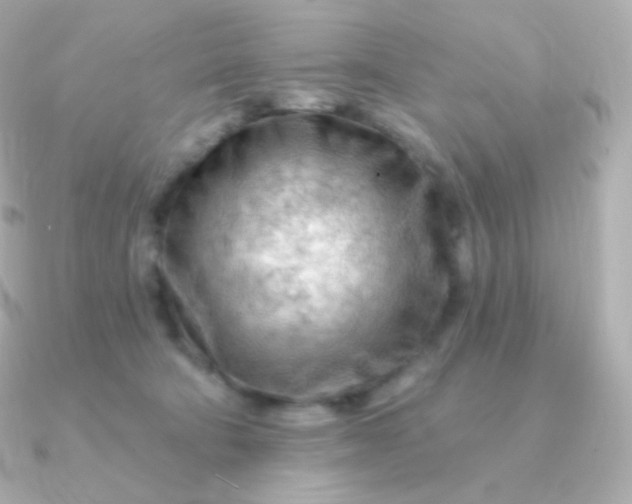 X0000090890322200708101407