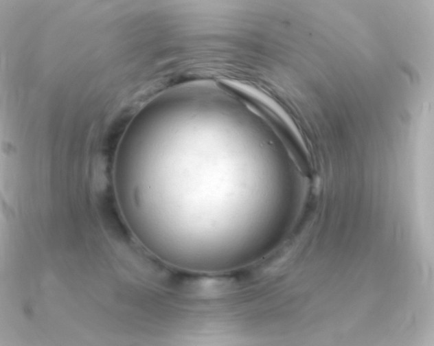 X0000090890323200708101407