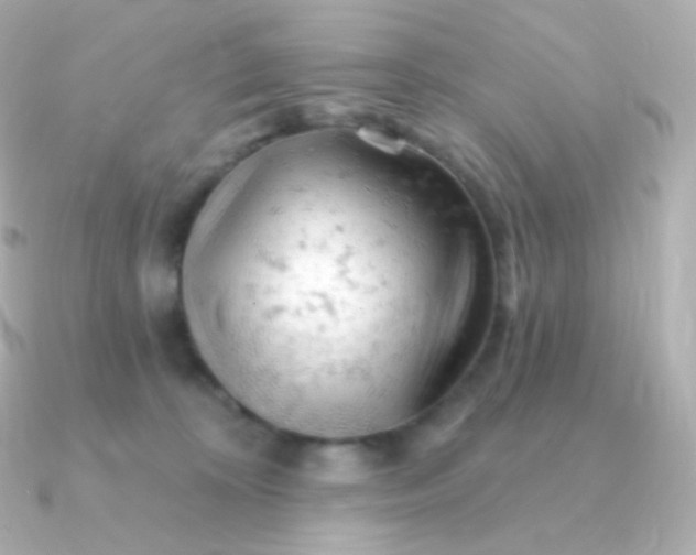 X0000090890324200708101407