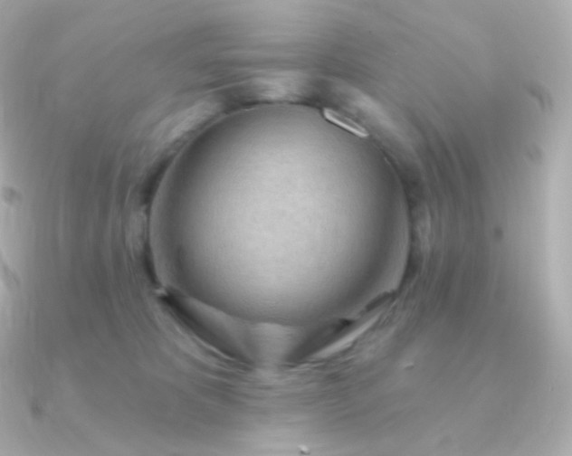 X0000090890325200708101407