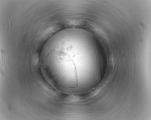 X0000090890328200708101407