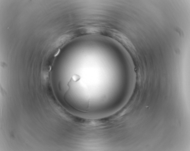 X0000090890329200708101407