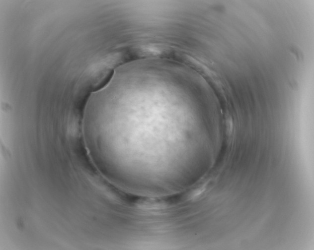 X0000090890331200708101407