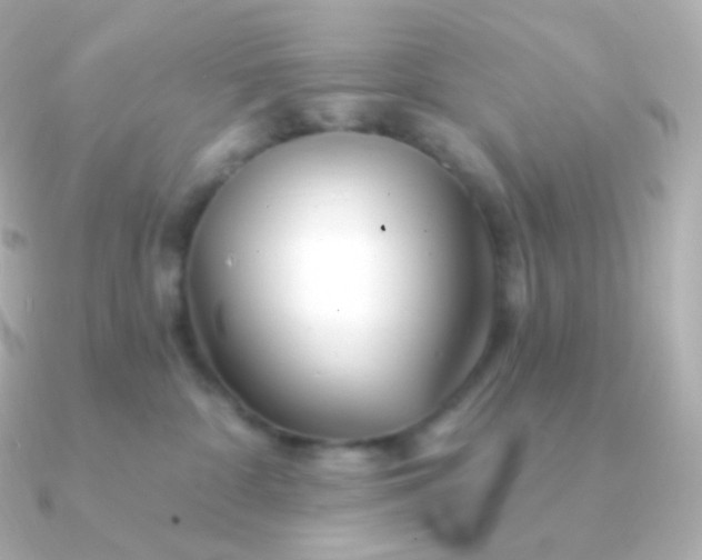 X0000090890332200708101407