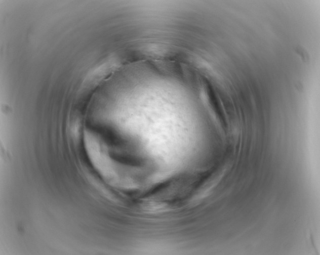 X0000090890334200708101407