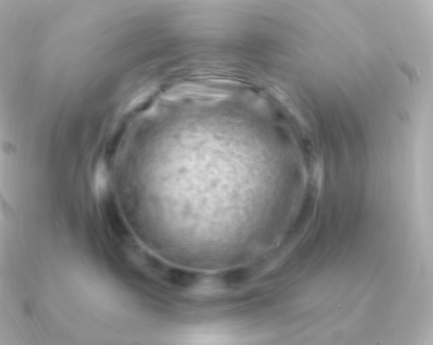 X0000090890335200708101407