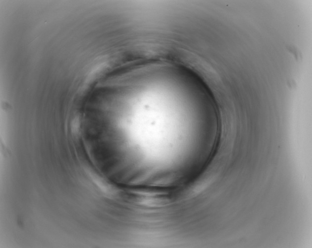 X0000090890336200708101407